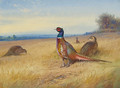 Keeping Watch - Archibald Thorburn