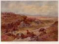Grouse on the Peat Bogs - Archibald Thorburn