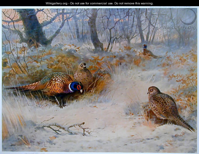 Frost in the Coverts - Archibald Thorburn