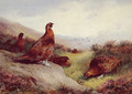 Autumn Glory - Archibald Thorburn