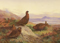 The Morning Call - Archibald Thorburn