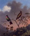 Brazilian Ruby Hummingbirds - Martin Johnson Heade