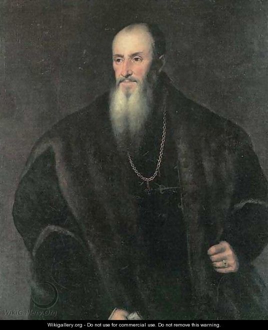Portrait of Nicolas Perrenot of Granvelle - Tiziano Vecellio (Titian)