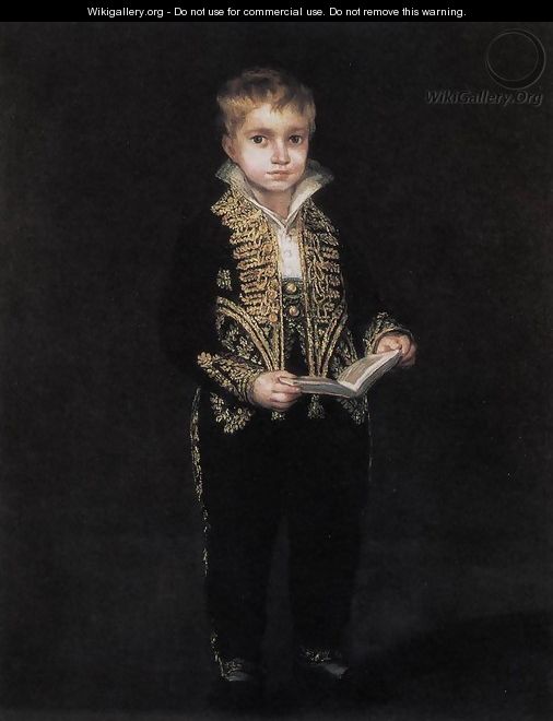 Portrait of Victor Guye - Francisco De Goya y Lucientes