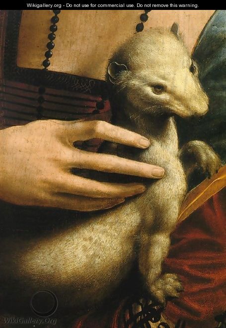 Lady with an Ermine (Detail) - Leonardo Da Vinci