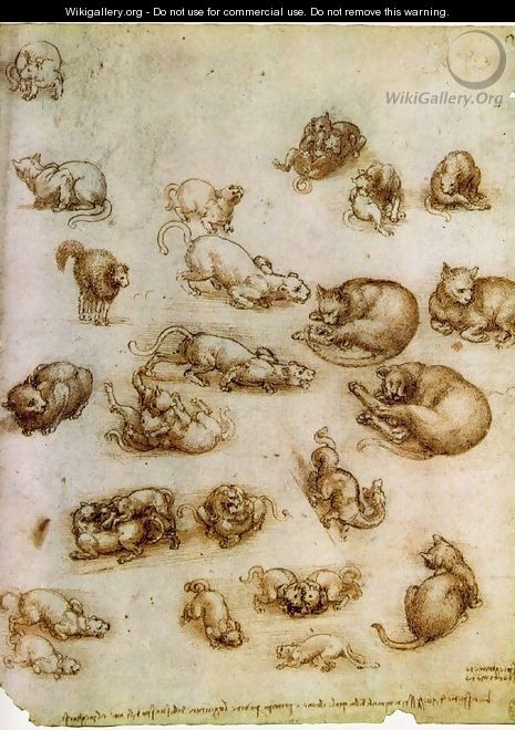 Study of Cat Movements and Position 1517-18 - Leonardo Da Vinci