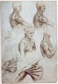 Muscles of the neck and shoulders 1515 - Leonardo Da Vinci