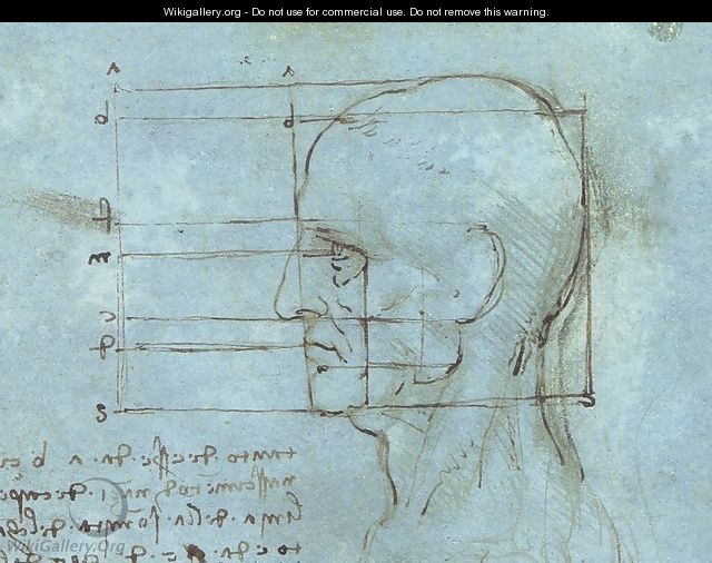 Blue Head - Leonardo Da Vinci