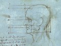 Blue Head - Leonardo Da Vinci