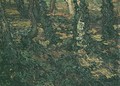 Troncs et lierre 1889 - Vincent Van Gogh