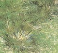 Touffes d'herbe 1889 - Vincent Van Gogh