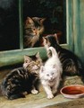 Kittens - Fannie Moody