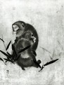 Monkeys - Sosen Mori