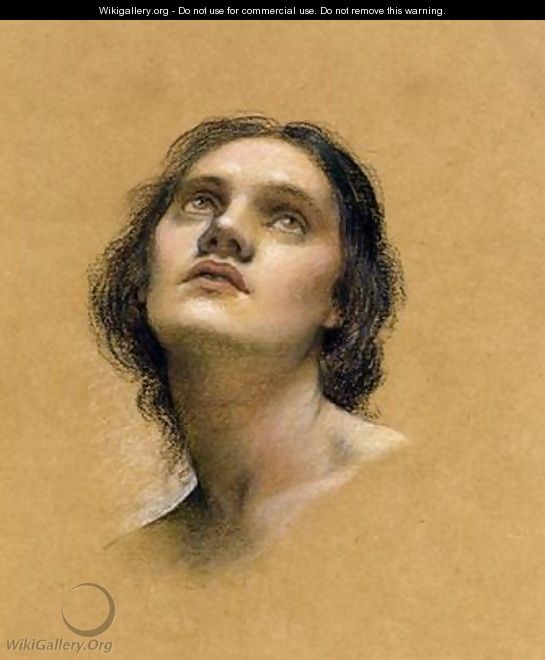 Study of a head - Evelyn Pickering De Morgan