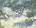 Plantation d'oliviers 2 1889 - Vincent Van Gogh