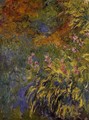 Irises 1 - Claude Oscar Monet