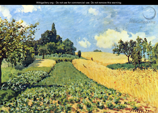 Getreidefelder auf den Hügeln von Argenteuil - Alfred Sisley