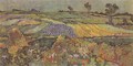 Champs de blé près d'Auvers 1890 - Vincent Van Gogh