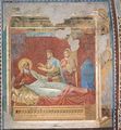 Scenes from the Old Testament 2 - Giotto Di Bondone