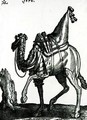 Camel - Melchior Lorck