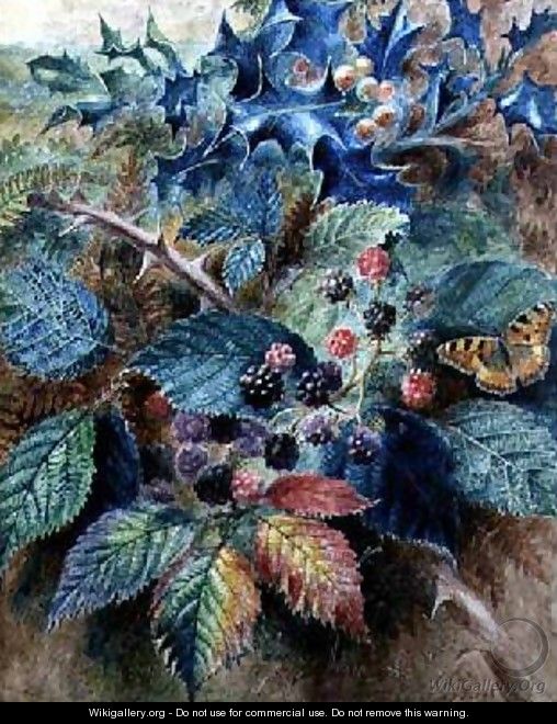 Blackberries and Holly with a Butterfly - Albert Durer Lucas