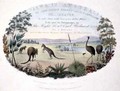 View in Bathurst Plains near Queen Charlottes Valley title page of Views in Australia - Joseph Lycett