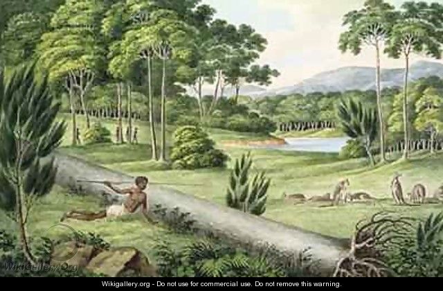 Aborigines hunting kangaroos - Joseph Lycett