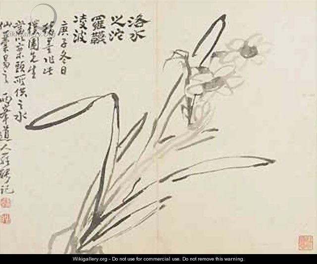 Landscapes Flowers and Birds Narcissus Qing Dynasty 1780 - Ping Luo