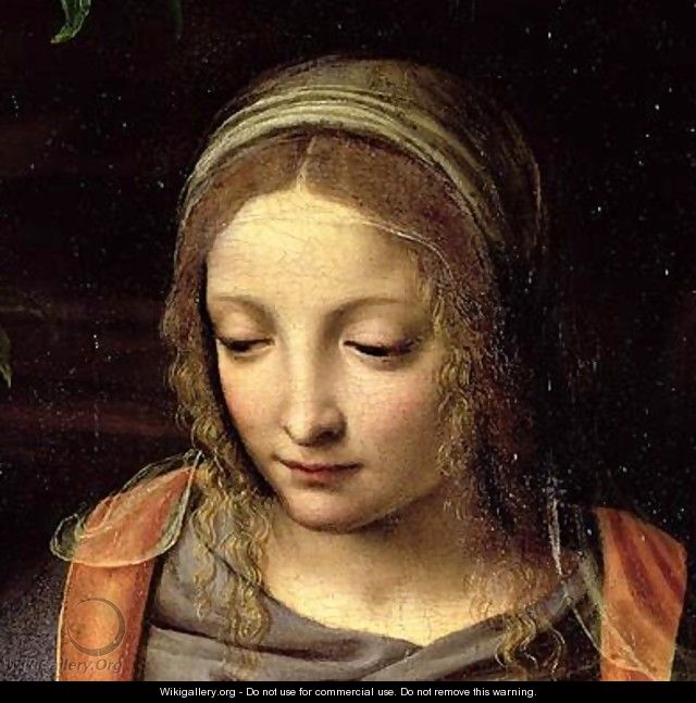 The Virgin and Child in a Landscape 2 - Bernardino Luini - WikiGallery ...