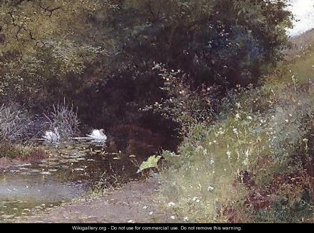 Swans on a Lake 1889 - Thomas Mackay