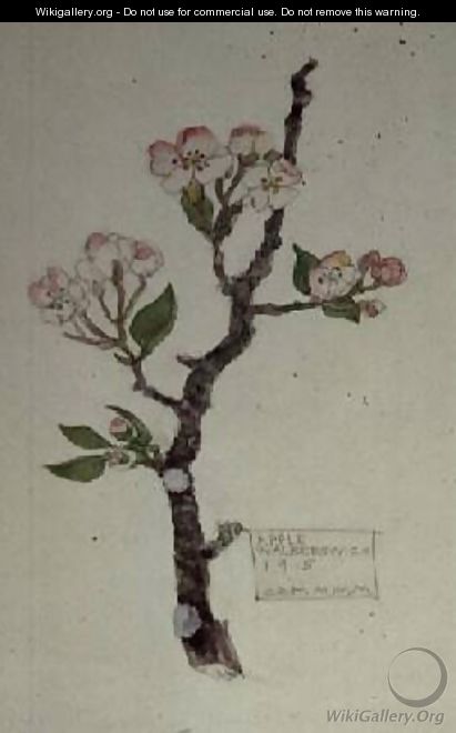 Apple Walberswick 1915 - Charles Rennie Mackintosh Apple Walberswick 1915 - Charles Rennie Mackintosh