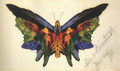 Butterfly 1893 - Albert Bierstadt