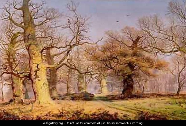 Oak Trees in Sherwood Forest 1877 - Andrew MacCallum