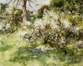 Sloe Blossom - William Stewart MacGeorge