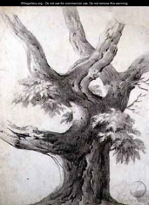 Study of a Tree 1823 - Alphonse Nicolas Michel Mandevare