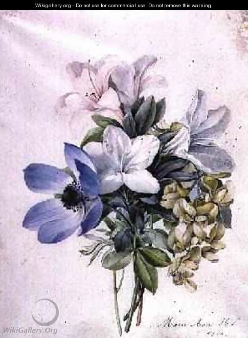 Anemone wisteria and laburnum - Marie-Anne