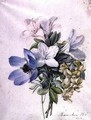 Anemone wisteria and laburnum - Marie-Anne