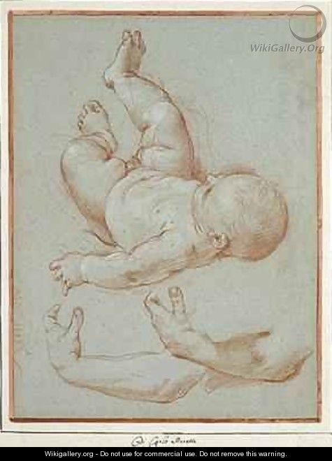 The Infant Romulus and two studies of a mans left arm - Carlo Maratta or Maratti