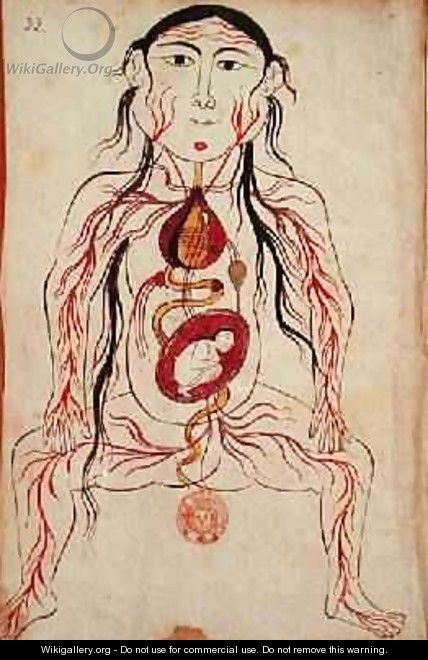 Ms Persan 151 Fol32 Anatomical diagram of a woman and her foetus - b. Eliyas Chirazi Mansour