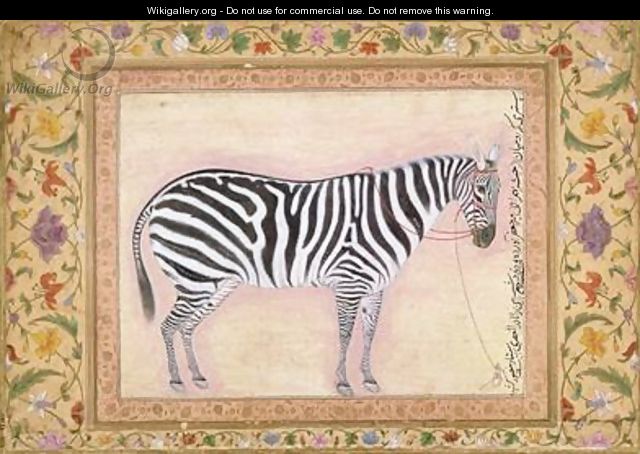 Zebra from the Minto Album 1621 - (Ustad Mansur) Mansur