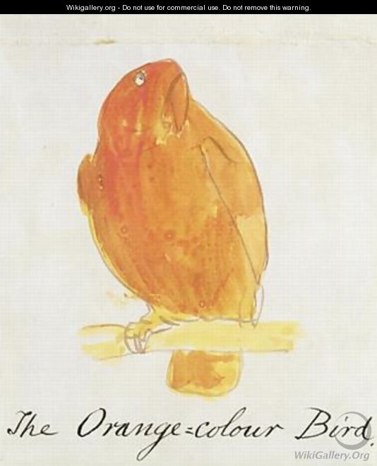 The Orange Colour Bird - Edward Lear