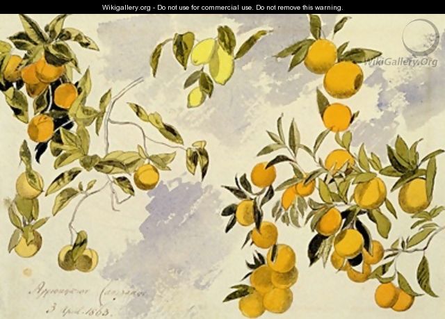 Orange Trees - Edward Lear
