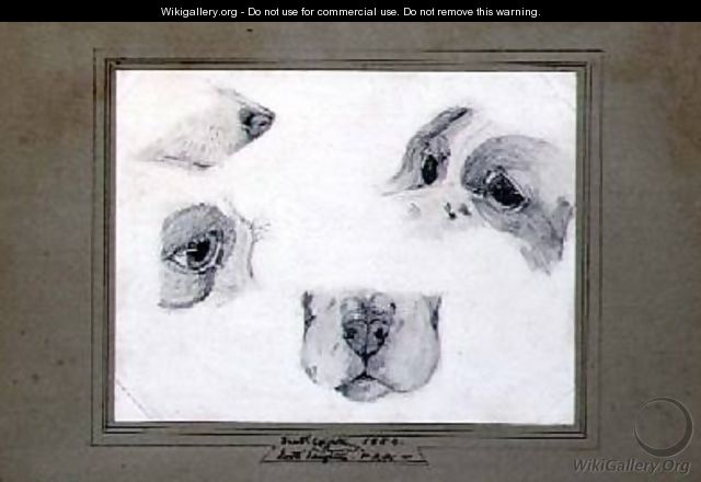 Studies of the Artists Dog - (attr. to) Leighton, Frederic