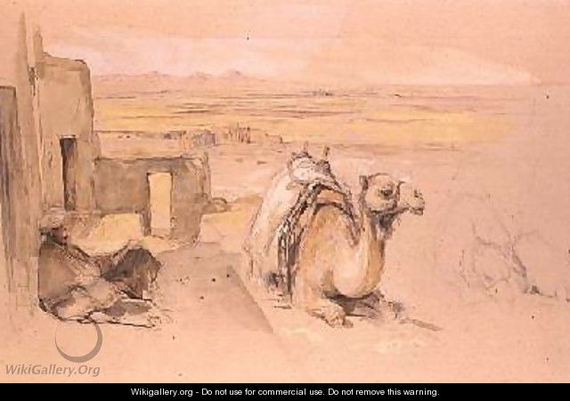 Camel West Thebes - John Frederick Lewis