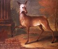 A roe deer 1738 - Heinrich Lihl