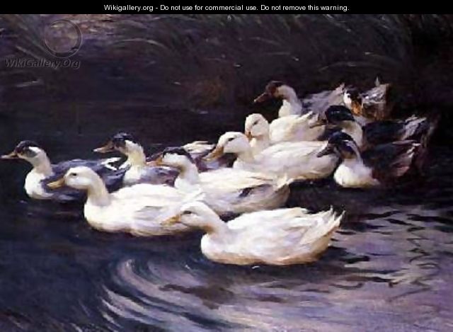 Ducks - Karl Lindner