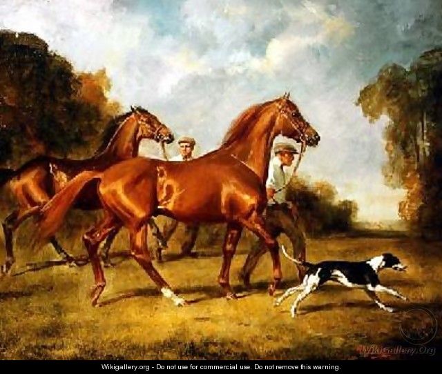 Exercising the Horses - H. Raoul Millais