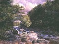 The River Deveron 1866 - William Henry Millais