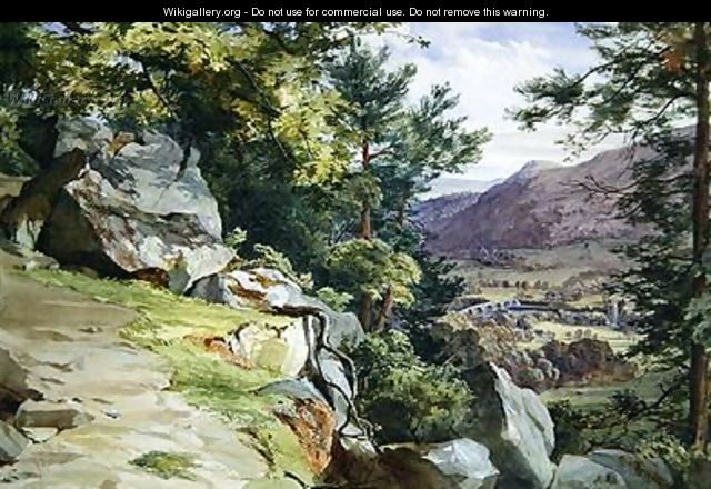 View of Craig-y-Barns Dunkeld Looking South 1855 - John Henry Mole