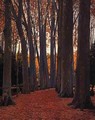 Arboles - Santiago Rusinol i Prats